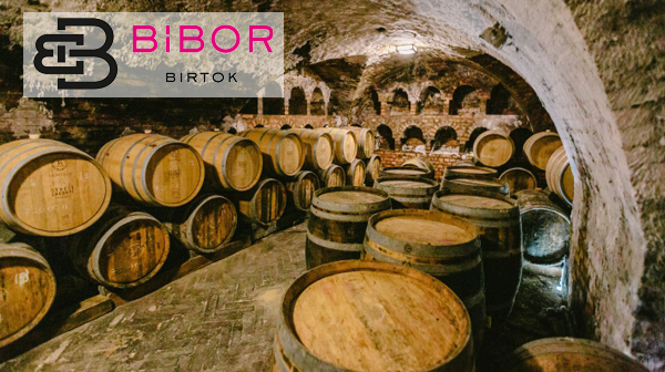 Hírek 2022. november